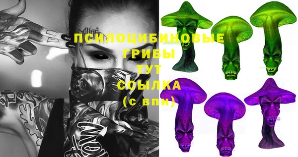 прущая мука Горно-Алтайск
