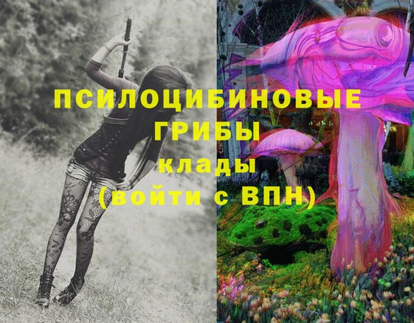 экстази Фурманов